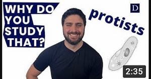 Studying Some Of The World’s Smallest Predators