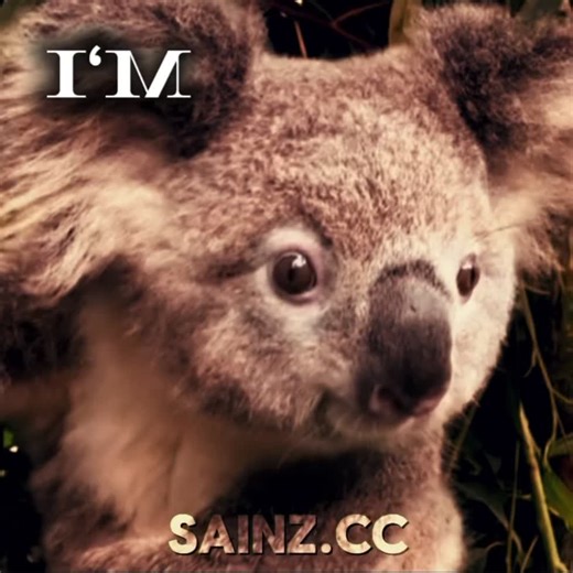 Help Koalas and Polar Bears: Join the Conservation Effort