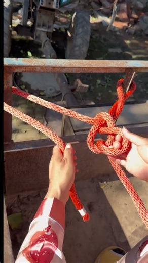 Double anchor universal knot, very strong and sturdy, many people use it