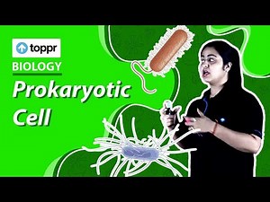 Prokaryotic Cell | Cell Theory | Class 11 Biology