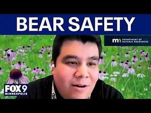 Avoiding bears in the wild: DNR expert shares safety tips