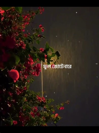 Discover the Meaning Behind This Song's Lyrics