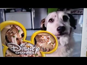 Disney Channel Bumpers id 90s 2000s