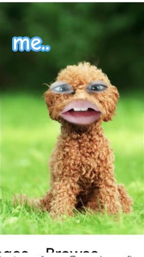 #Mommy stop I was filming#funny#dogs#alien?#dance#crazy!!!#love y'all