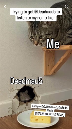 It’s not a mau5trap #deadmau5 #mau5trap #edc #hayla #kaskade