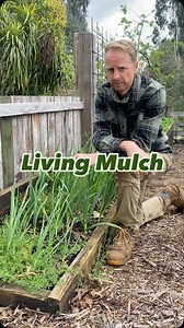 #gardening #organicgardening #permaculture #mulch #growyourownfood #growingfood #organicfood #homesteading #homesteadliving #farming | Big Little Farm