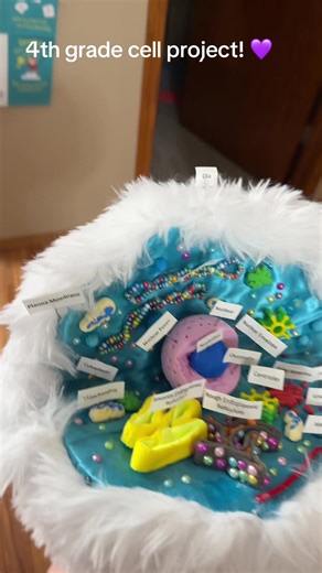 #4thgrade #scienceproject #cellproject