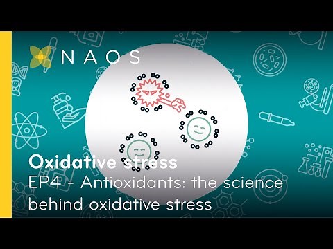EP4 - Antioxidants: the science behind oxidative stress | NAOS