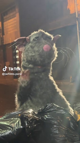 Boost Your Productivity as a Filmmaker