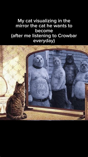 Goals: A part of the merch sales profit goes to support local stray cats and underground bands, thank you! #catsandmetal #electricwizard #acidbath #sleepband #metalmemes