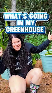 Complete greenhouse setup guide for beginners