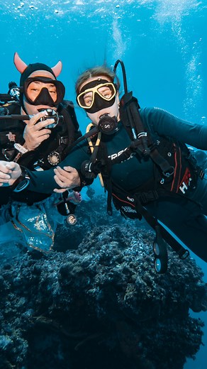 🌊 Ever dreamed of diving in paradise? 🐠 Cozumel is calling! Crystal-clear waters, vibrant marine life, and some of the best dive sites in the world are waiting for you. 🏝️💙 No matter if you’re a beginner or an experienced diver, this is your chance to explore a world like no other—right beneath the waves! 🌊🐢 📍 Ready to dive in? Send me a message and let’s make it happen! #scubadiving #cozumeldiving #underwateradventure #divecozumel | Blue Note Scuba