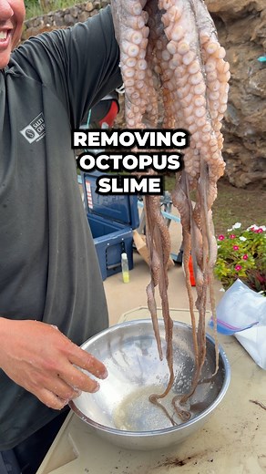 How We Remove Octopus Slime | Ryan Myers Spearfishing