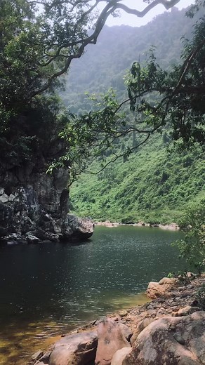 Có một nơi ở Đà Nẵng mà cứ ngỡ là tiên cảnh 🌚🫶🏻💚💚 📍Hoà Bắc, Đà Nẵng.