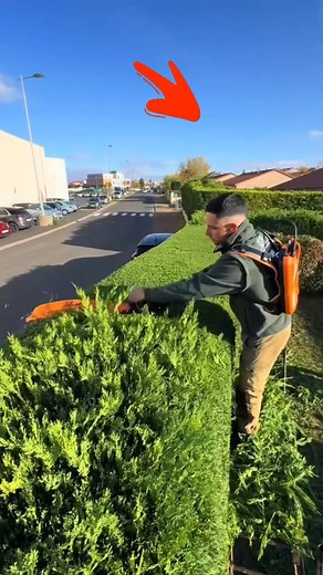 103 reactions | The most trashed house you've ever seen #renovation #abandonedhouse #Roofing #housecleaning | QuickTwist | Facebook
