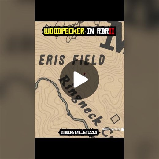 Woodpecker Locations in Red Dead Redemption 2