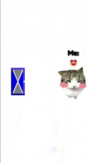 dam dam di di di di #memes #cat #shorts #trending #linesofbattle