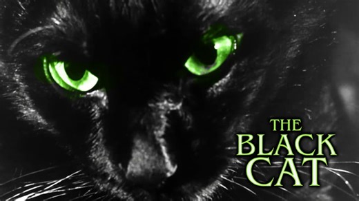 The Black Cat (1966)