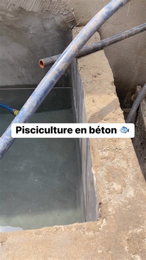 6.9K views · 76 reactions | Construction des bacs en béton  #fish #pond #pisciculture | Jordan Talom enterprises | Facebook