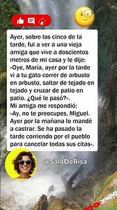 🐱 La escapada del gato #chistes #bromas #comedia #risas #divertido #humor #españa