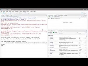digitcognem - Paquetes en RStudio