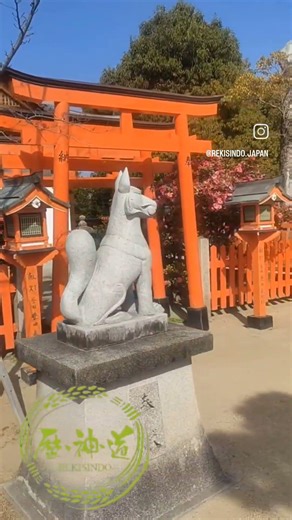 参拝ツアー⛩️✨誉田八幡宮🙏✨#歴神道 #神社#神社巡り #参拝ツアー #神社参拝