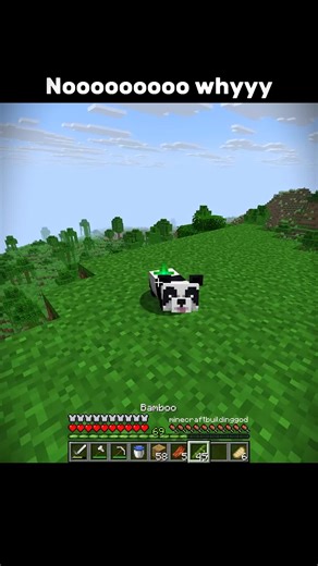 Incredible Minecraft Builds You Must See