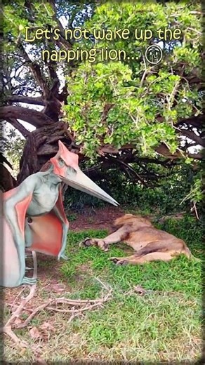 Lion vs Pterodactyl • Pteranodon overlay in the wild
