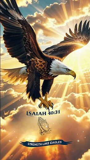 Isaiah 40:31 | Renewed Strength Like Eagles 🦅(Short Prayer Video)