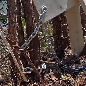 36K views · 165 reactions | How to Remove a Cedar Hedge - Holden's Beast Method | Home RenoVision DIY | Facebook