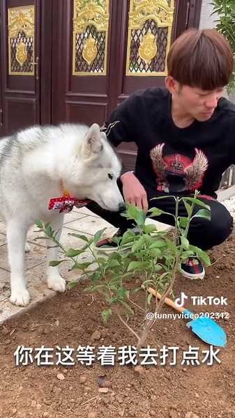 funny video 😂😂#funny video #fun #viral #foryoupage