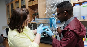 Bachelor of Science, Biology Major