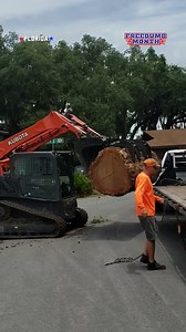 51K views · 144 reactions | dropped a big log | FailArmy | Facebook