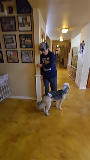 This digital wrist blood pressure monitor features a clear LED display and simple one-button operation, making it easy to check readings at home or on the go. The compact adjustable cuff is designed for comfortable use, while the built-in memory function helps store previous measurements for reference. Lightweight and portable with a convenient carrying case, it’s great for everyday wellness tracking and personal monitoring. #BloodPressureMonitor #HomeHealthDevice #WellnessTracker #tiktokshopcre