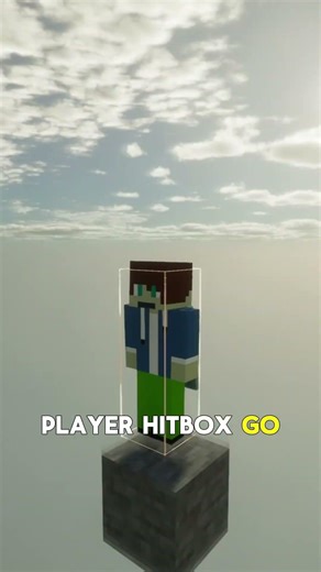 minecraft insane glitch.