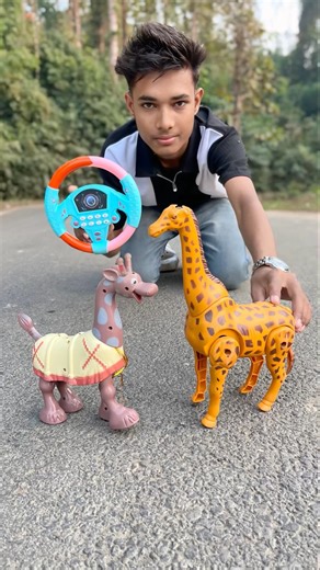 Ekta Donkey and Rc Remote Control Giraffe Unboxing 🥹