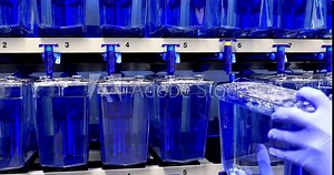 Biomedical research lab with lots of small aquariums. A researcher in a laboratory takes out small aquarium for a biomedical research.