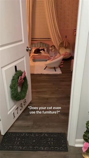 Meredith Mae on Instagram: "my cat doesn’t know she is a cat 😸🎀 #meredithmaeragdollcat #catapartment #petroom #thearistocats #catlife"