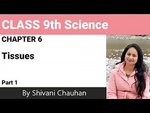 Class9th Science chapter 6 Tissues part 1 full explanation हिंदी में