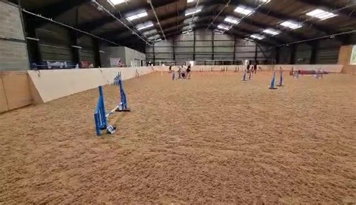 Love watching old training videos of the dogs. This was Baby when we used to go to agility. She really was amazing and such a quick learner, shame I couldn't keep up with her 藍 | College 4 Canines | Facebook