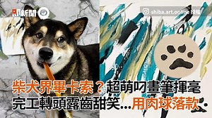 隨便畫都比你強～自己賺罐罐（覺得可以進畫廊了的胖丁呷麵 影片授權：IG_@shiba.art.online (此行請刪，授權條件：發文需附上以下資訊) Facebook: Shiba Art Online https://www.facebook.com/shibaartonline/ Instagram : @shiba.art.online https://www.instagram.com/shiba.art.online/?hl=en | 鍵盤大檸檬