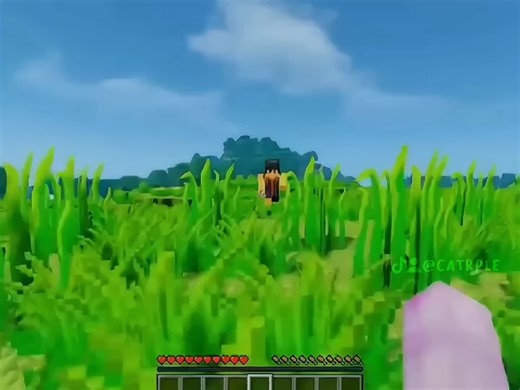 Minecraft Roleplay Transformation: Jason vs Aaron