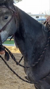 1.1K views · 15 reactions | Discover the optimal setup for using a...