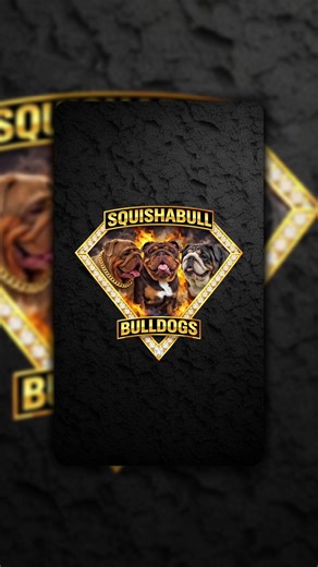 Logo design for Squishabull Bulldogs