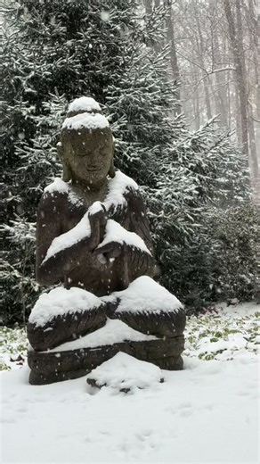 Alex Grey on Instagram: "Here it comes🌨️❄️⛄️🤍"