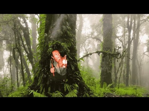 I Built a Hidden Survival Shelter Inside the Oak Trees | Primitive Bushcraft Skills”