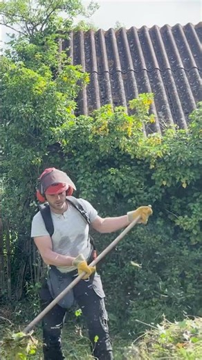 We Started Clearing Our 200-Year-Old Farmhouse #diyhome #renovation #farmhouse #clearingout