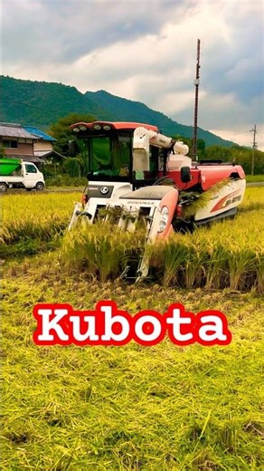 Kubota combine harvester ER572クボタの5条72馬力コンバインで刈り取りSTAR🏃