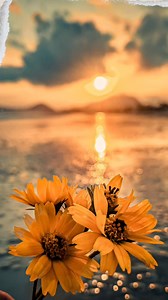 Inspirational Flower Quotes #flowers #flowerquotes #lifelessons | Come Out and Shine