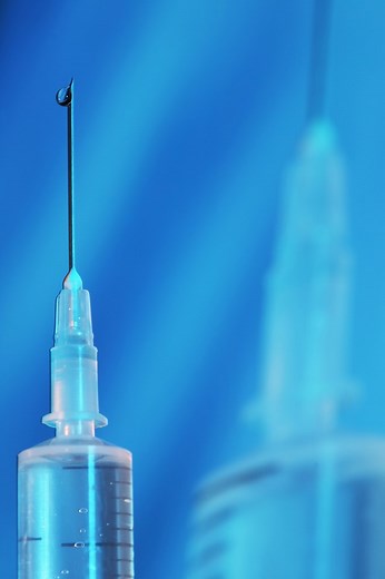 Colon Cancer In Dogs: Signs Of Canine Adenocarcinoma - Cuteness